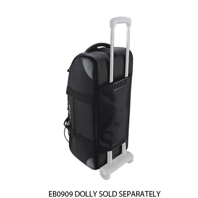 E-IMAGE VIDEO BAG OSCAR S70 (LARGE)