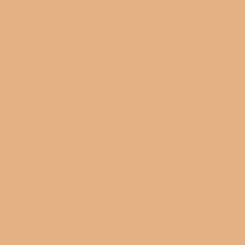 Superior Background Seamless Paper #26 Pongee 2.72 x 11m