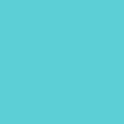 Superior Background Seamless Paper #55 Alpine 2.72 x 11m