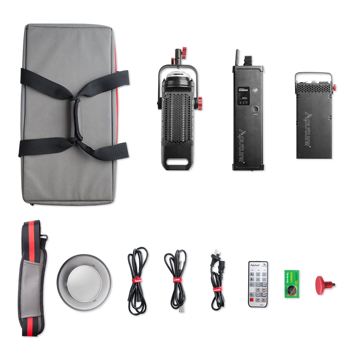Aputure Lightstorm COB 300D Kit (Color Temperature: 5500K)