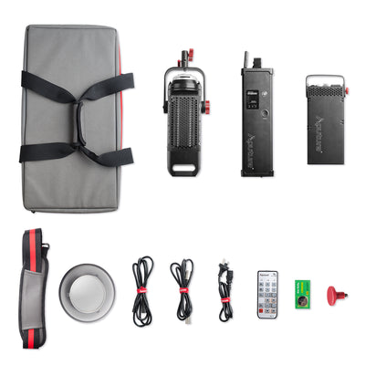Aputure Lightstorm COB 300D Kit (Color Temperature: 5500K)