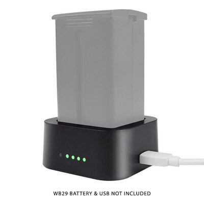 GODOX UC29 USB BATTERY CHARGER FOR AD200 (WB29)