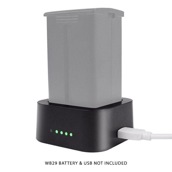 GODOX UC29 USB BATTERY CHARGER FOR AD200 (WB29)
