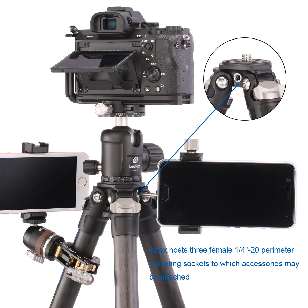 LEOFOTO Ranger TRIPOD KIT CARBON FIBRE LS-254C + LH30