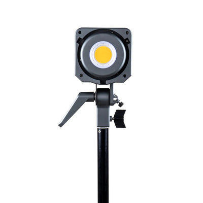 Aputure Amaran 200D Daylight LED Light