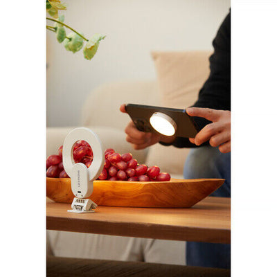 Godox Litemons Bi-Color Selfie LED Ring Light Kit